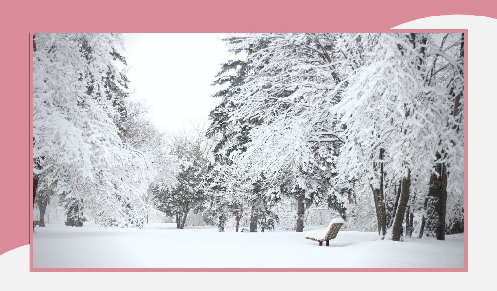 Фотография из открытых источников