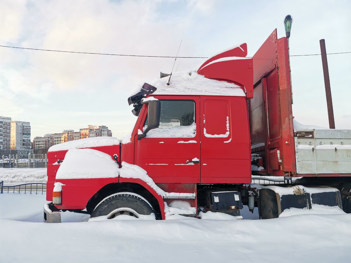 Красная Скания в Сибири.