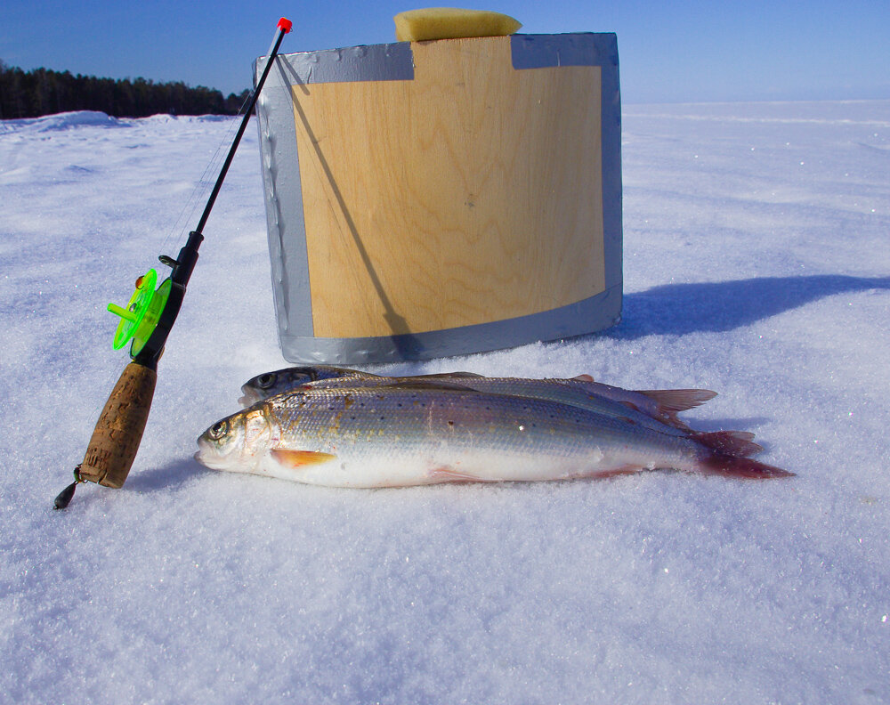 У берега поселка Энхалук.