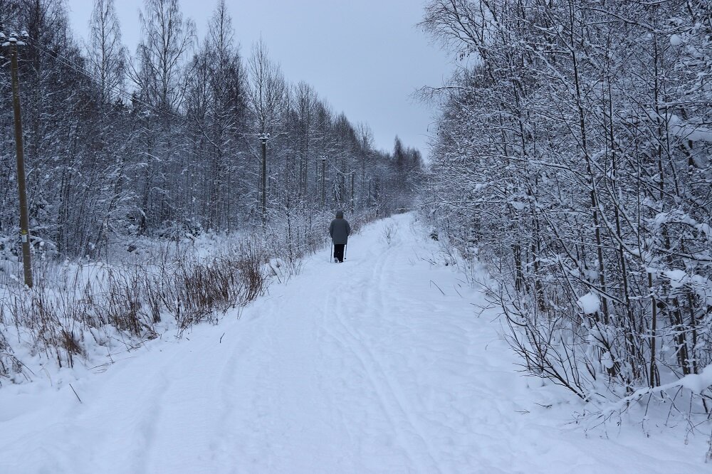 Тропинка по заброшенной железной дороге