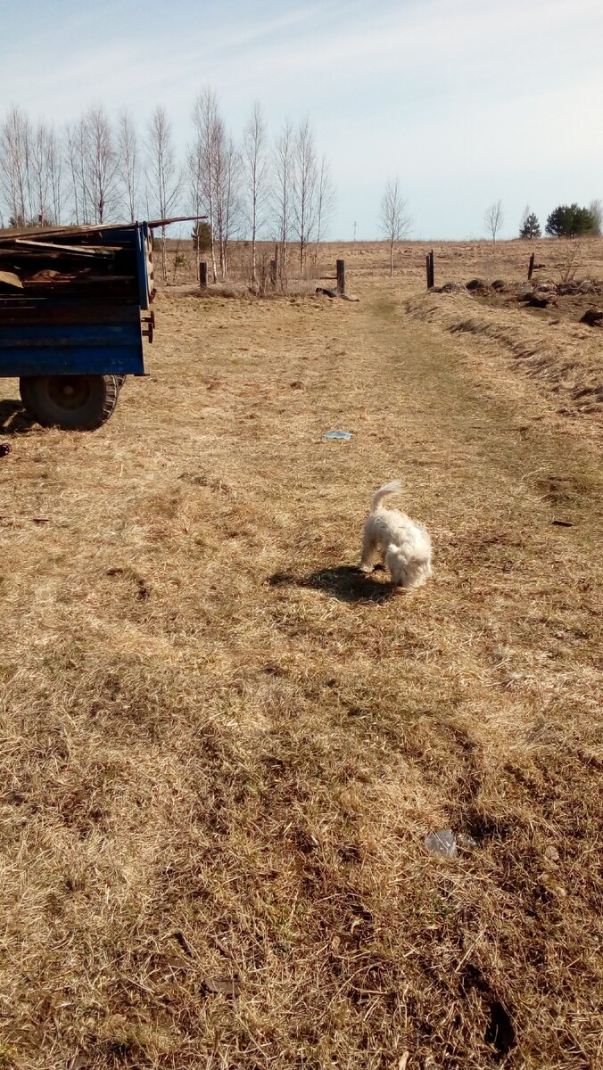 Конечно с помощницей