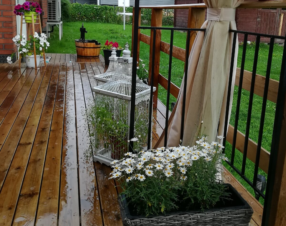 Да , у домов финнов обычно гладко выкошенная раз в две недели лужайка