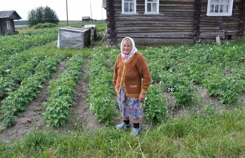 фото из интернета