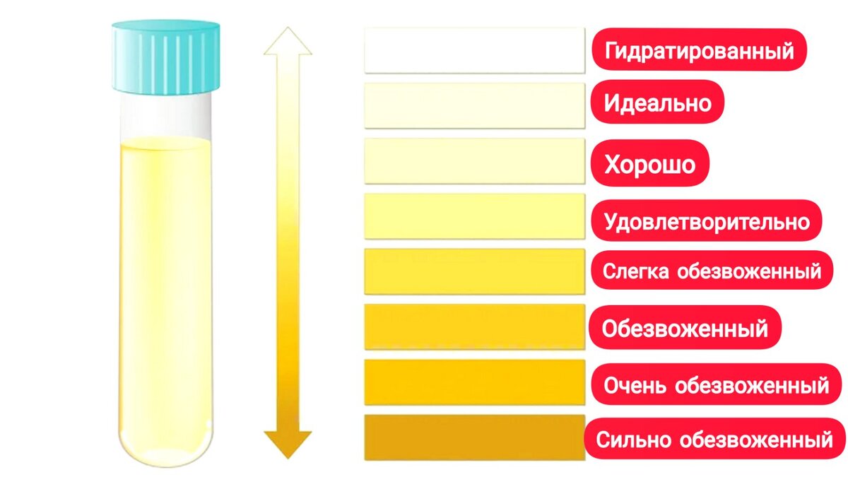 Цвет мочи - простой способ контролировать потребление воды. Когда вы гидратированы, ваша моча должна быть от прозрачной до светло-соломенной. Более темный желтый или янтарный цвет - признак того, что вам нужно пить больше воды.