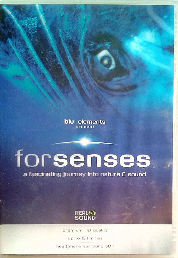 Blu:: Elements Present  "Forsenses"  DVD 