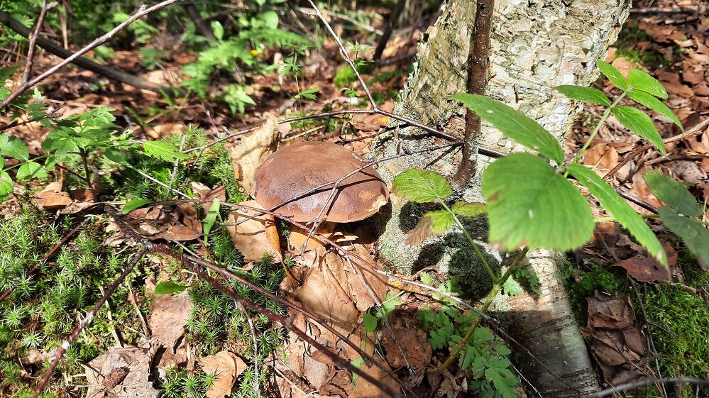 время новых идей и возможностей