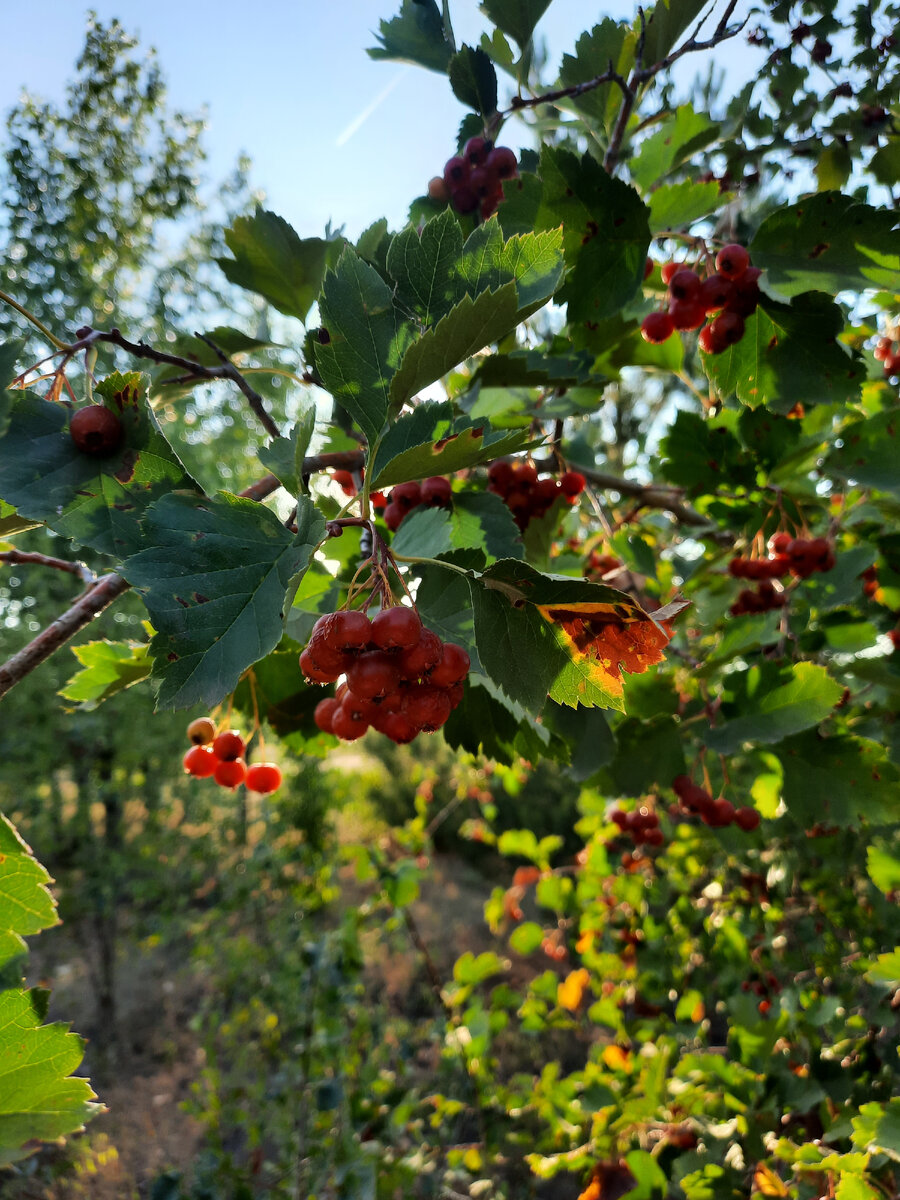 Настроения хватило лишь на пару фото 