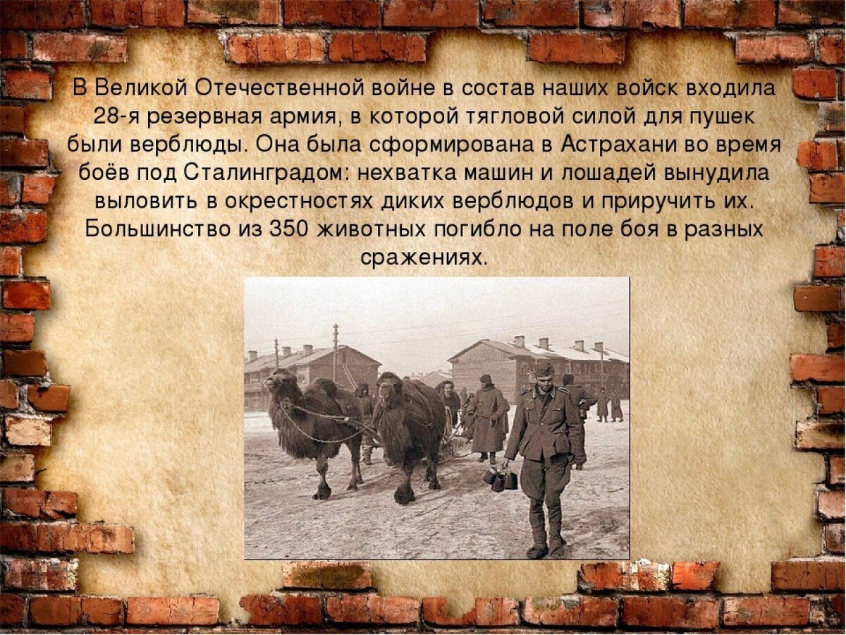 Презентация интересные факты о вов 1941 1945 для школьников