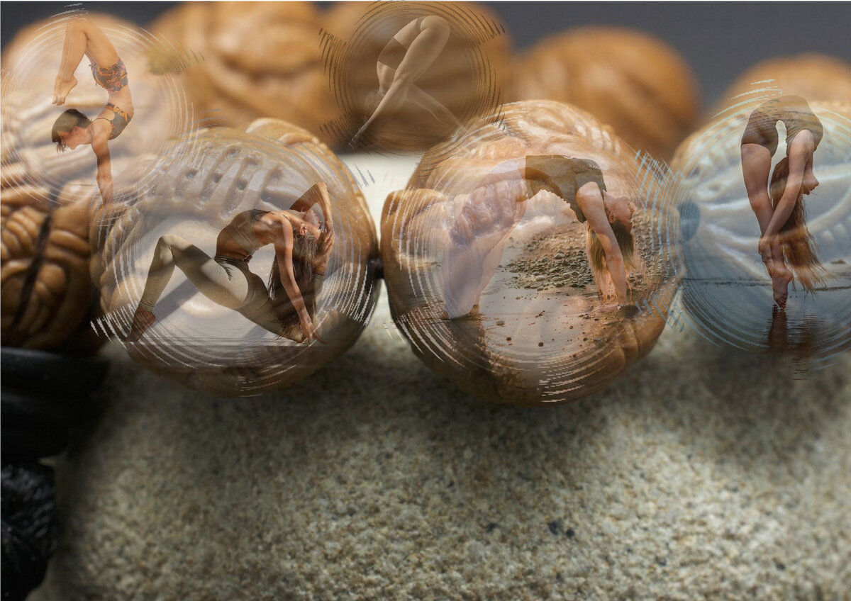 Аллегорическим образом Йоги мне всегда представляется ожерелье, где бусины представлены отдельными Асанами, а нить, связывающая эти отдельные элементы – Виньясы.