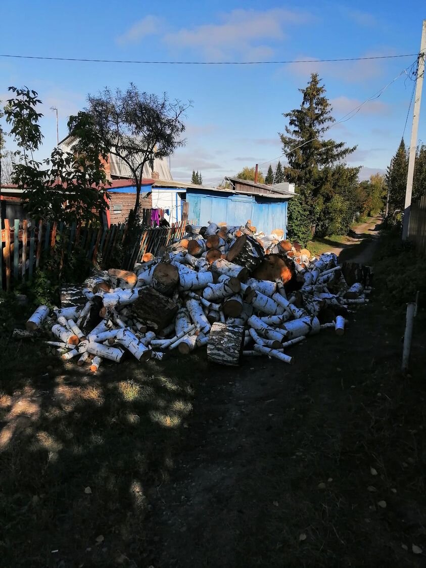 В Сибири этого количества дров на зиму не хватит. Не зря Светка мужа костерила. Ну а свекрови так, мимоходом досталось. 