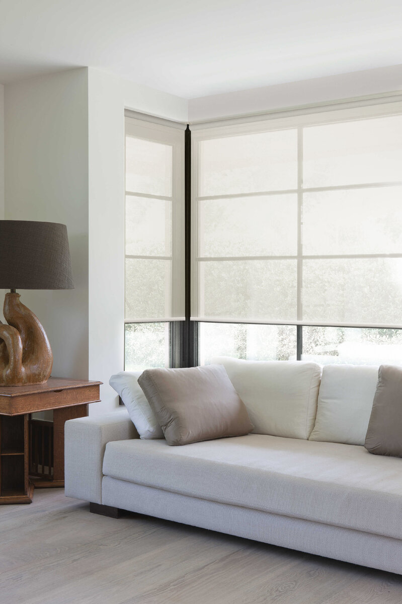 Рулонные шторы из коллекции AMIGO