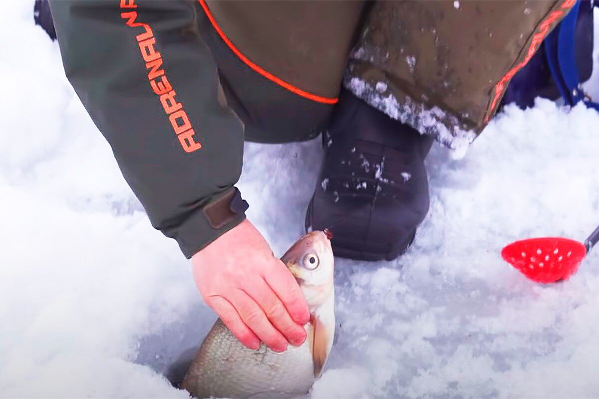Приготовление эффективных зимних прикормок для рыбалки на плотву + видео урок