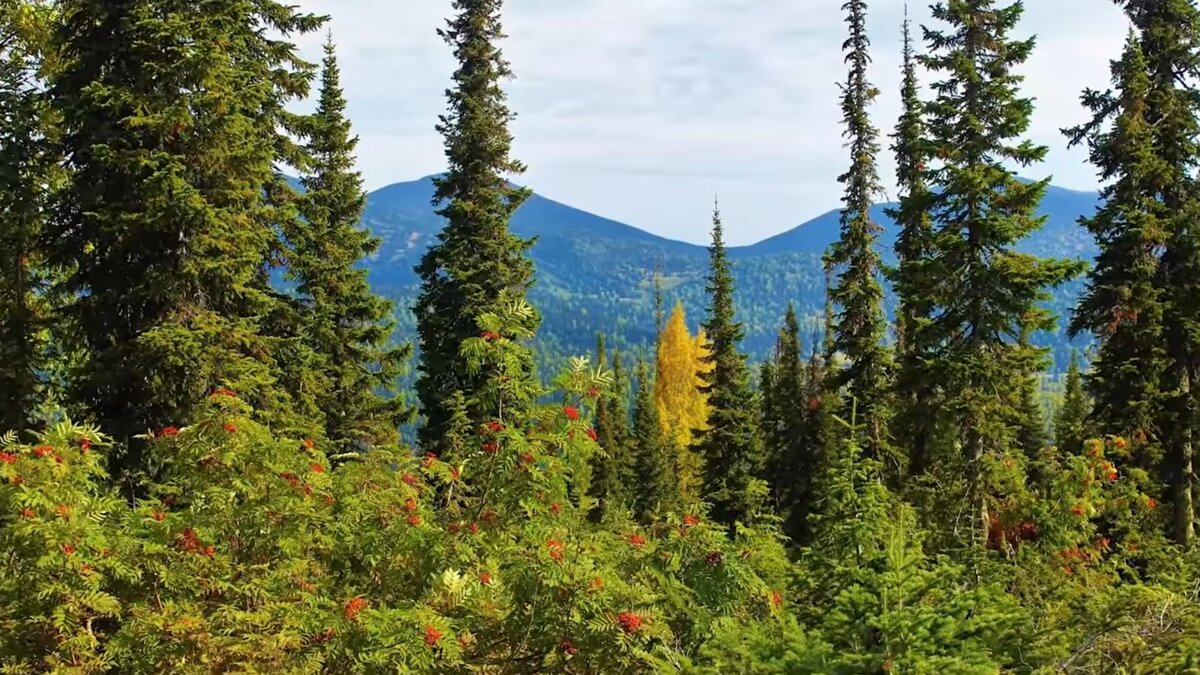 Сибирь и Дальний Восток