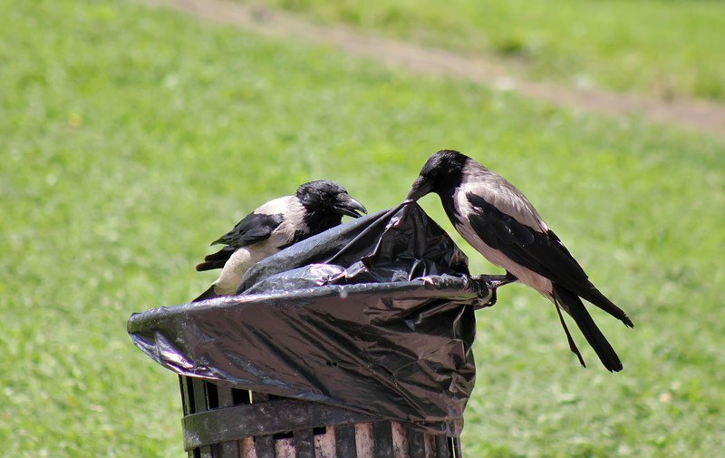 Фото из открытых источников