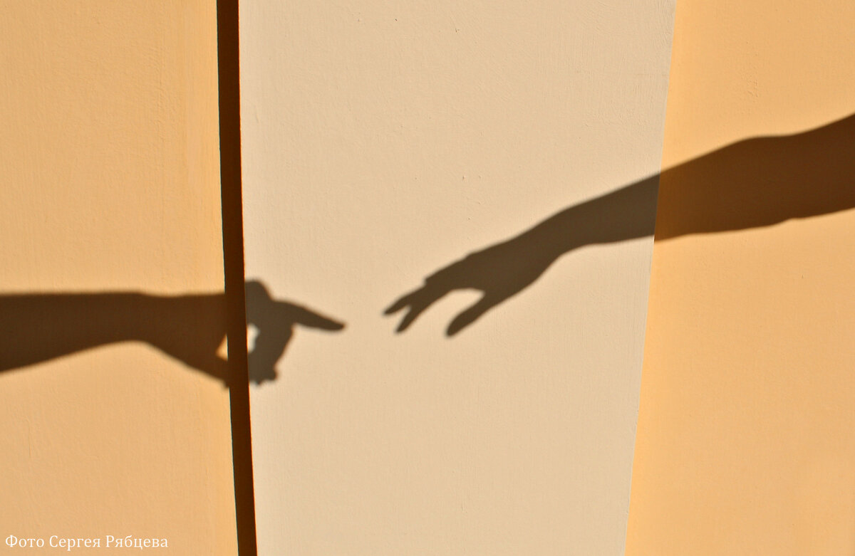 тень знай свое место. тень знай свое место картинки. тень высказывания. тень знай свое место. афоризмы про тень.