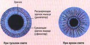 Вот как-то так...