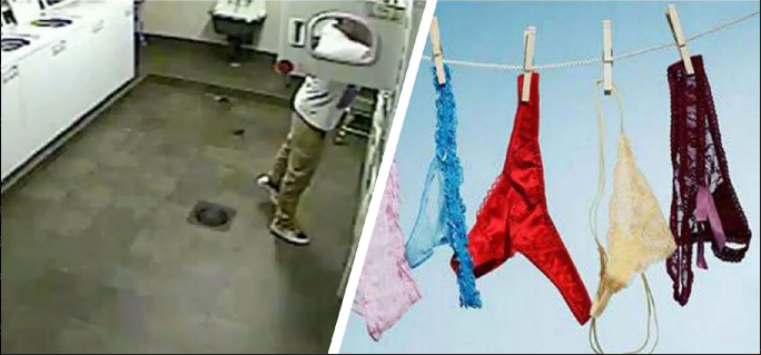 Фото взято из открытых источников