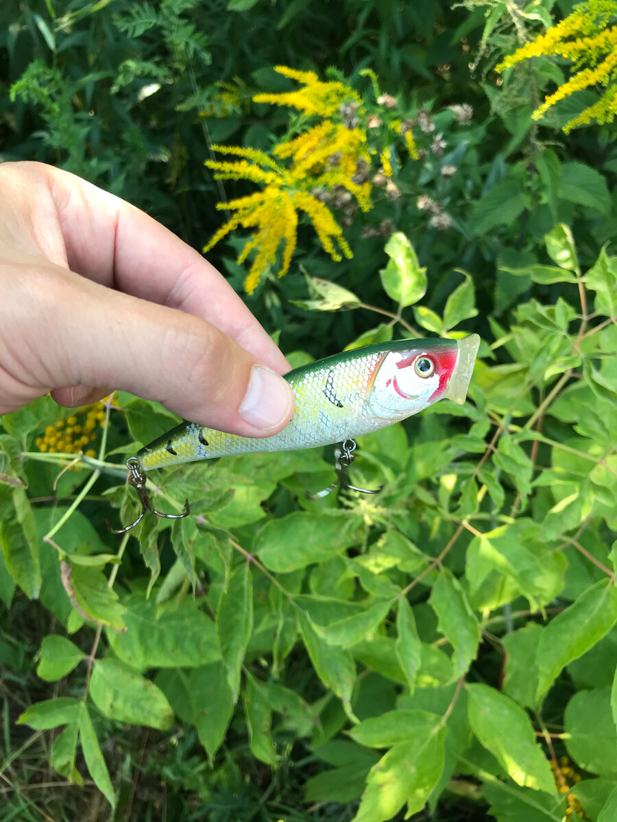 Поппер примерно 10 см