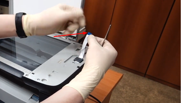 Фото 15. Выпрямленный шлейф