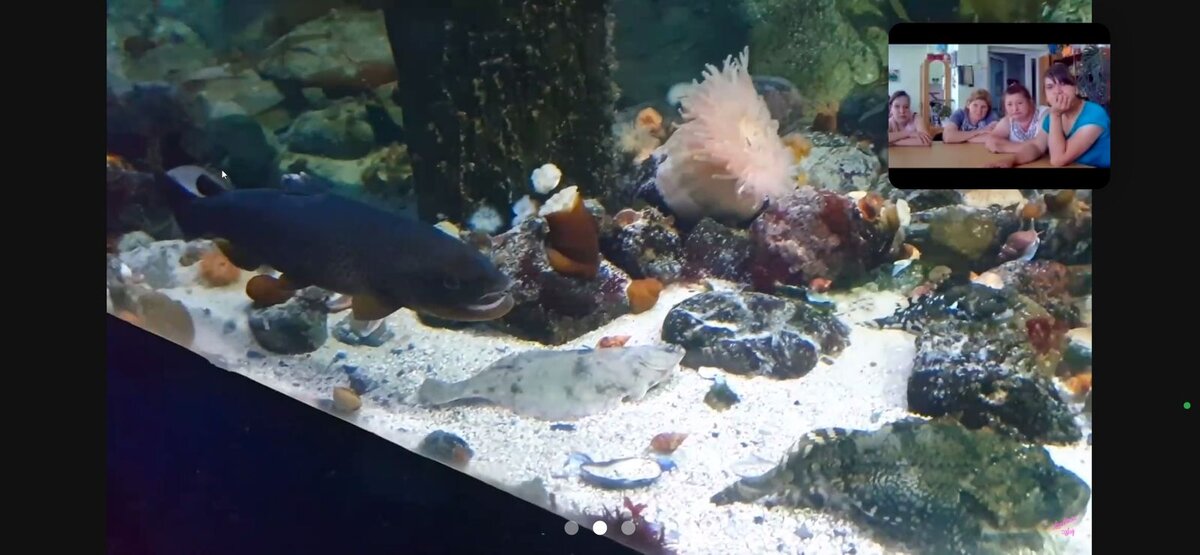 В Иловатском ПНИ волонтеры замахнулись на онлайн-приготовление финской ухи