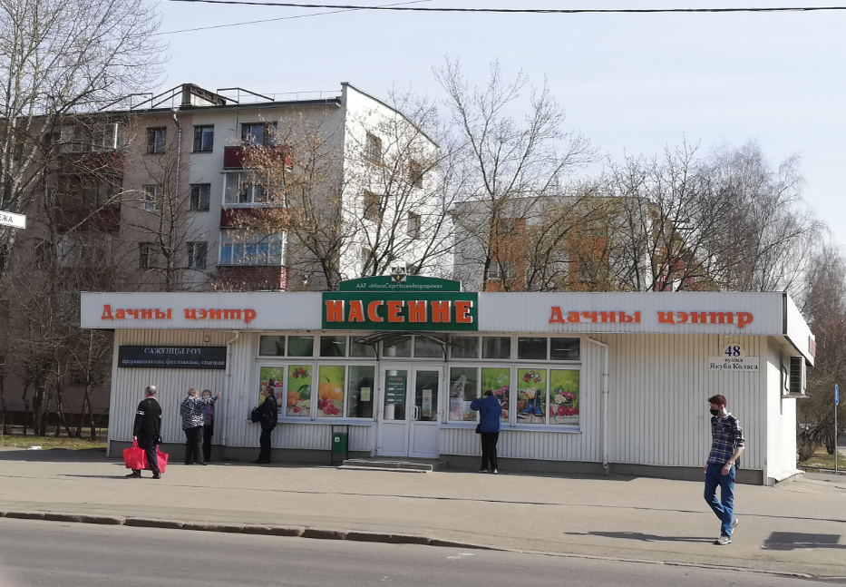 Фото сделано минувшей осенью