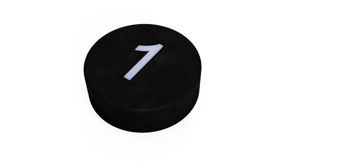 Хоккейная шайба как объект манипулирования