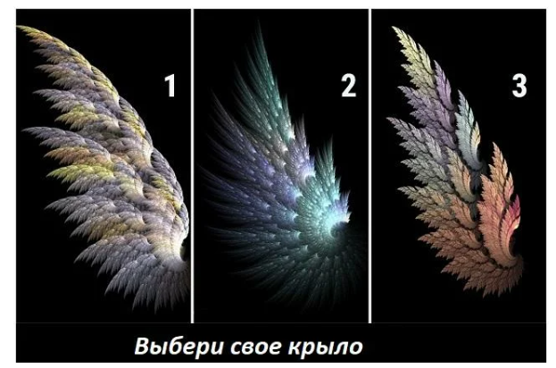 Изображение взято с открытых источников