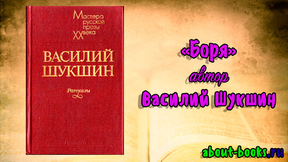 Анализ рассказа В. М. Шукшина «Боря»