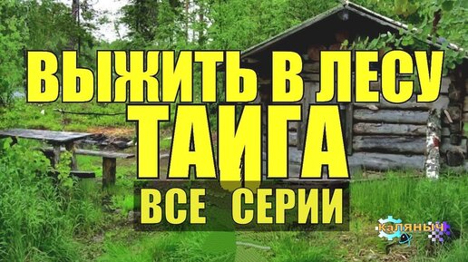 Как васютка выжил в тайге план сочинение