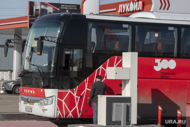    Всего будет закуплено 98 автобусов различной вместимости
