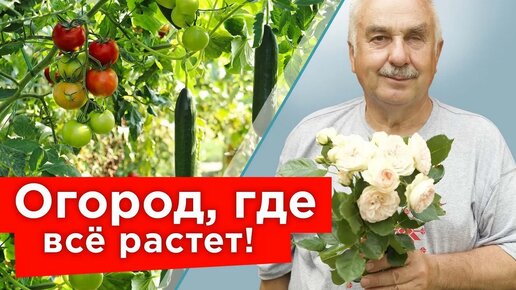 Что скрывает известный агроном? Петр Ломонос раскрывает свои секреты и показывает свой огород