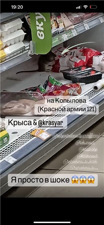 Источник: vk.com/sorokina_tv_krsk