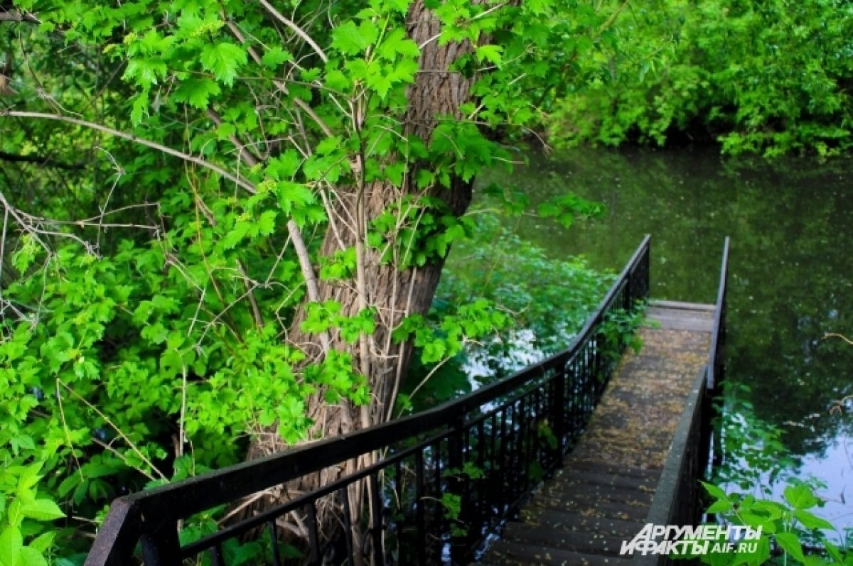    В Томске благоустроят Университетское озеро на территории ТГУ