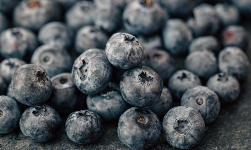 Фото freepik.com