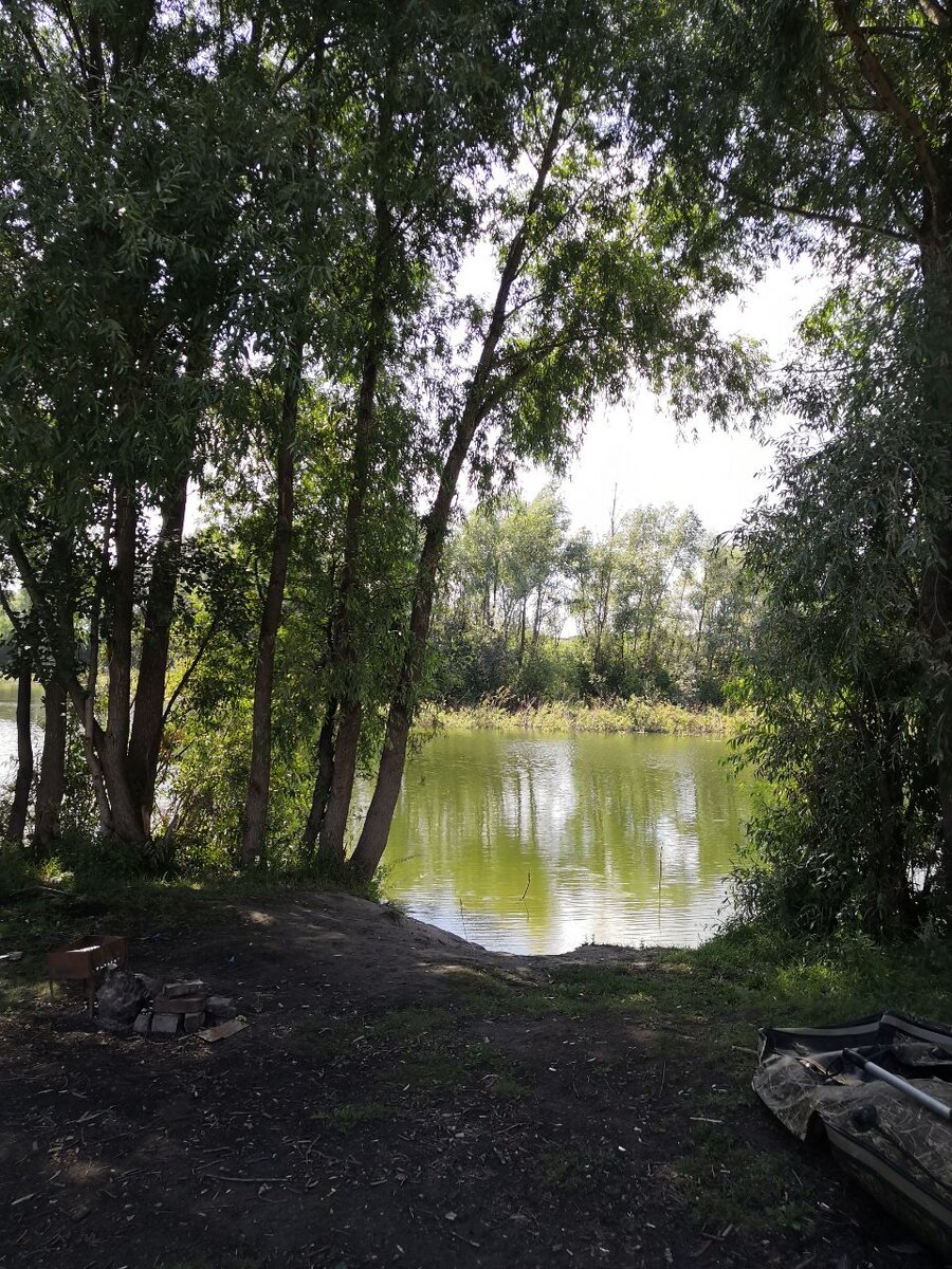 Вид на воду, нос ещё не надут