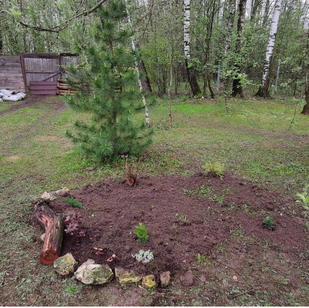 Это так всё начиналось -  2021 год