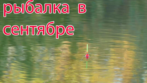 Рыбалка в сентябре на речке | Рыбалка с Олегом | Дзен