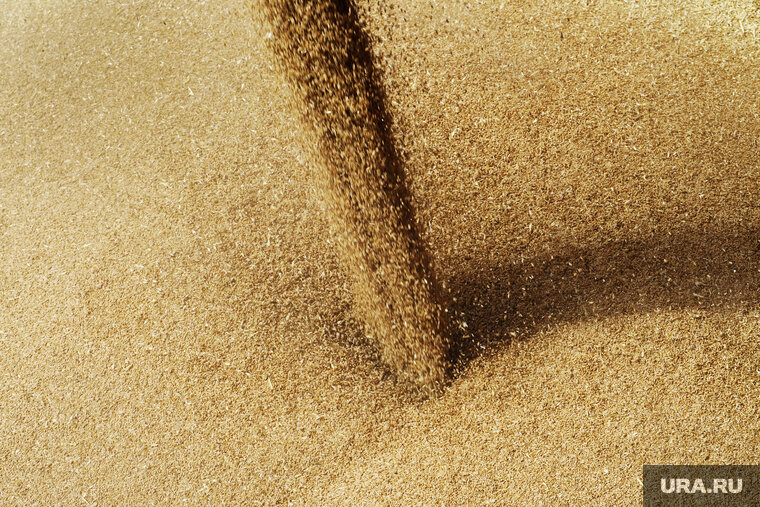    Украине не понравилось, что три страны Евросоюза продлили эмбарго на ввоз зерна