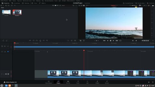 Davinci resolve в LMDE - linux mint debian edition