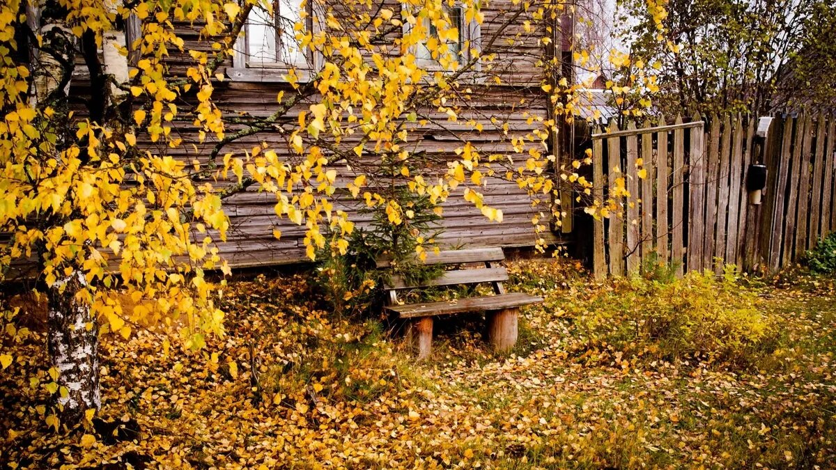 В течение недели важно следовать ряду запретов. Фото: pxhere.com