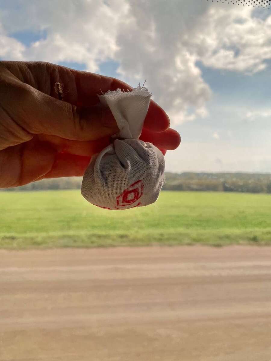 Предки. Татьяна Кирьянова