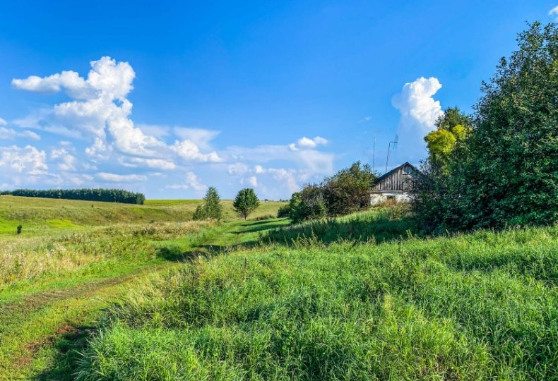 Отдаленная деревня Тульской глубинки на берегу речки. Туда еще заезжают дачники, но много домов просто брошено