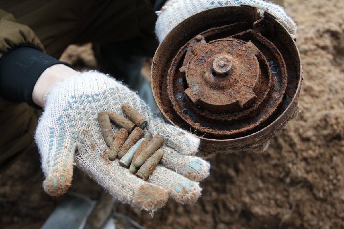 Находка, сделанная недалеко от озера Барского Ленинградской области. Диск с патронами лежал рядом с останками красноармейца