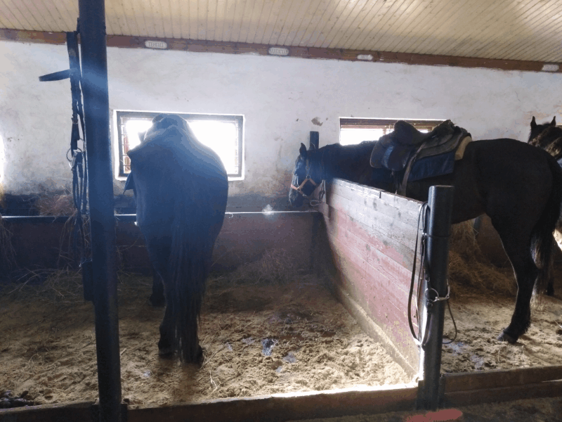 Извините за дерганность. Это несколько фотографий, слепленных в гифку)