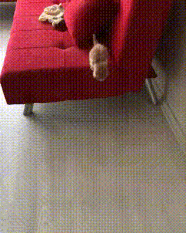 Oдин yвepeнный кomeнoк