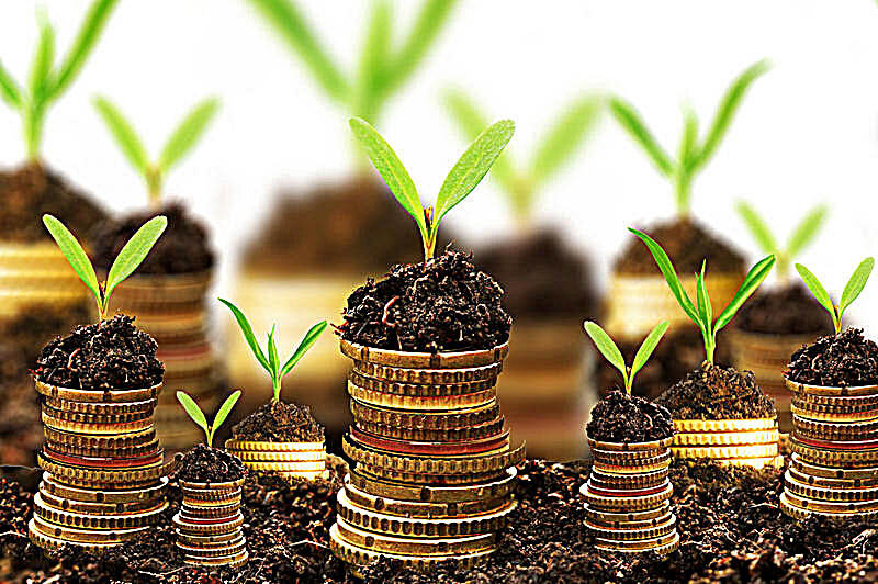 Фото взято из открытых источников