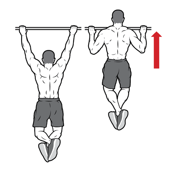 Упражнение: Подтягивания