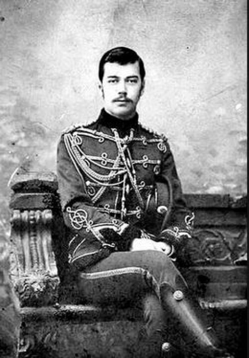 Цесаревич Николай Александрович, 1891 год