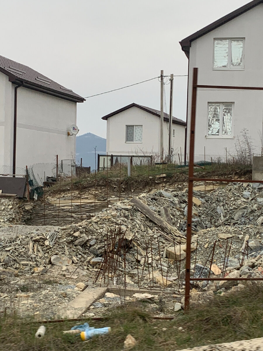 «Переезжай на юг, тут любую палку воткни — прорастет», - говорили они)))