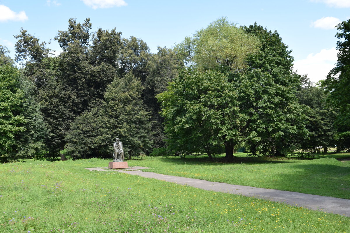 Памятник Ф. Достоевскому в Даровом...